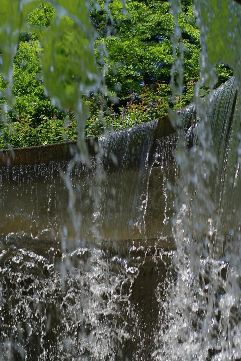 Water management