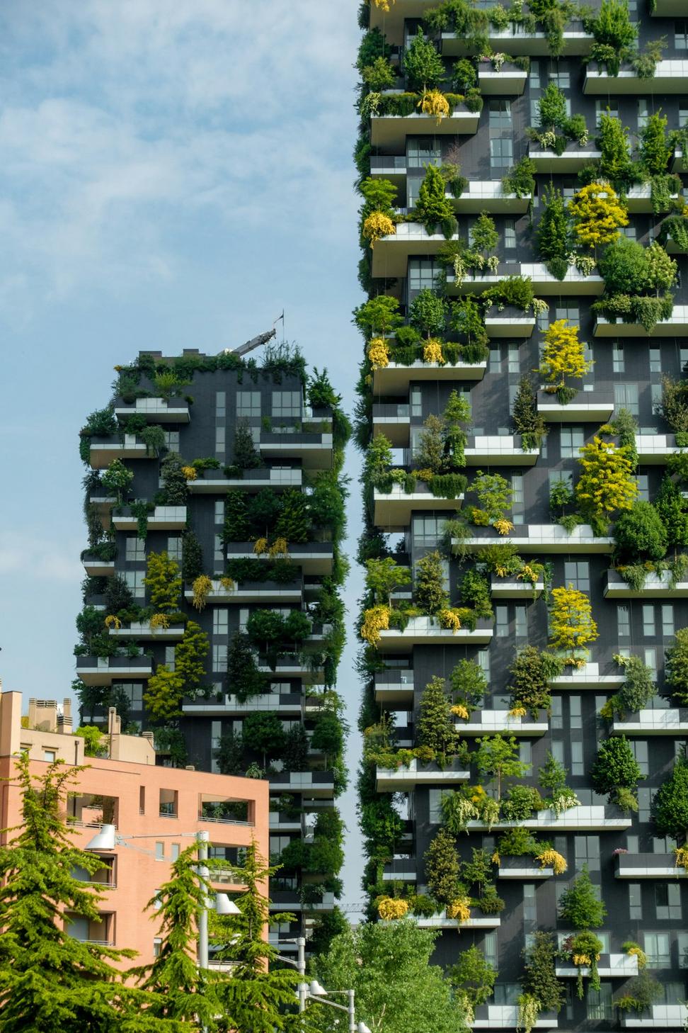 Sustainability consulting